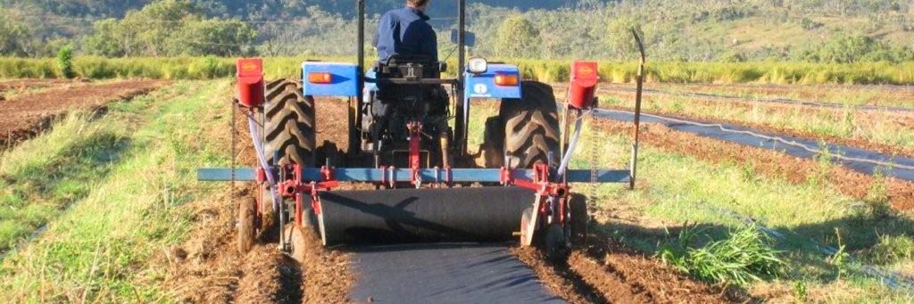 When Your Weed Mat Becomes a Mat of Weeds — Distinctive Gardening